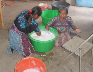 Mixing the aloe with water to create the shampoo