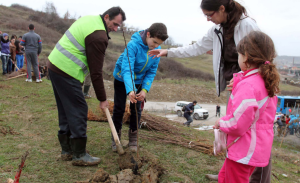 Planting trees at a local landfill in Albania