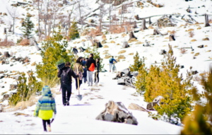 Work party in Lurë, Albania